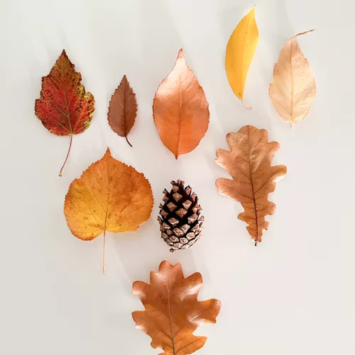 Start a New Routine in the Fall