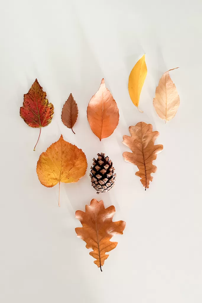 Start a New Routine in the Fall